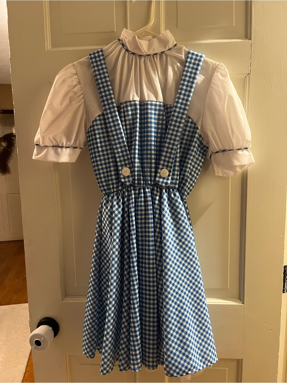 Women’s ’Wizard of Oz’ Dorothy Halloween Costume